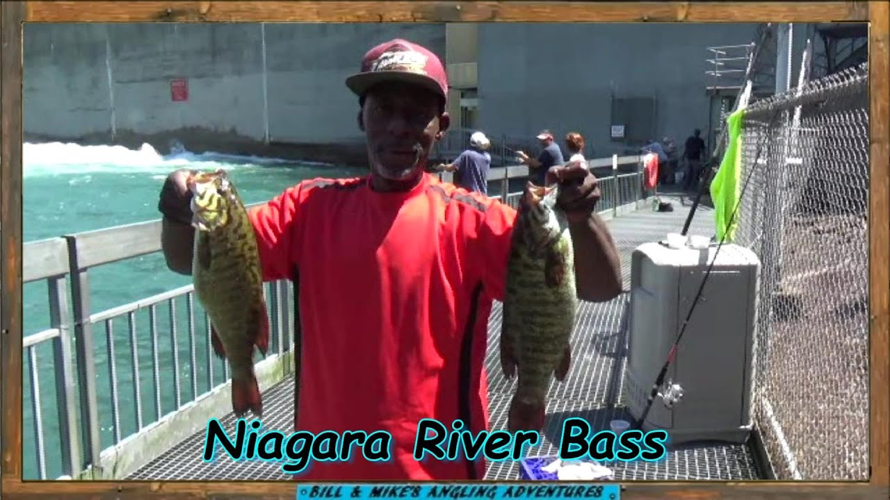 Lower Niagara River - Summer Shore Fishing 2020