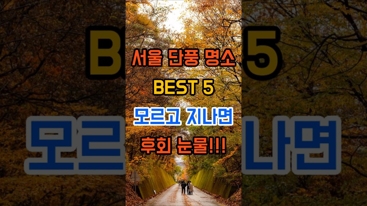 서울 단풍 명소 BEST 5