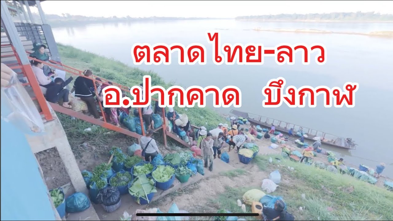 ตลาดไทย-ลาว  ปากคาด  บึงกาฬ  #ตลาดลาว  # ของป่า