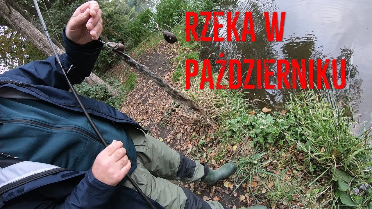 Vlog19 rzeka w październiku, sk&oacute;ra węża, zarybieniowe karpie