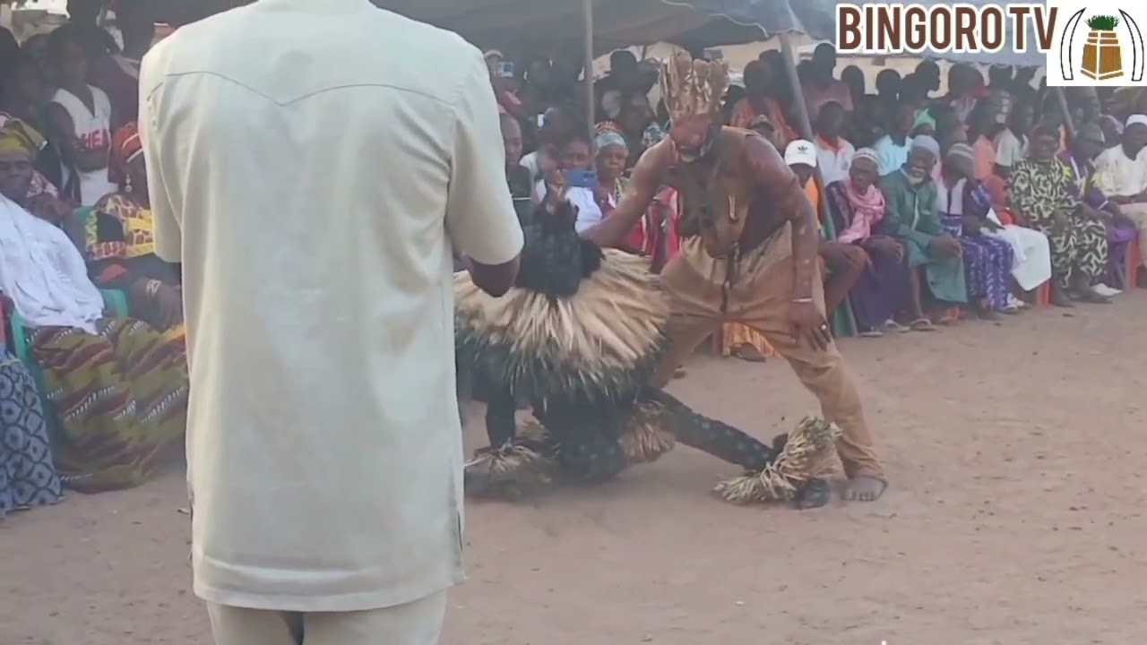La danse du pentaire et la sagbé à BINGORO 2025