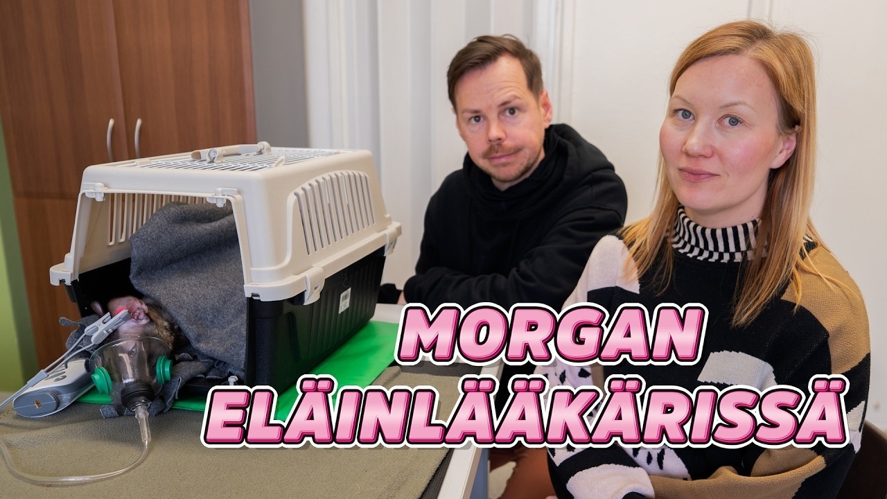 HUOLESTUTTAVIA UUTISIA ELÄINLÄÄKÄRISSÄ (MY DAY)