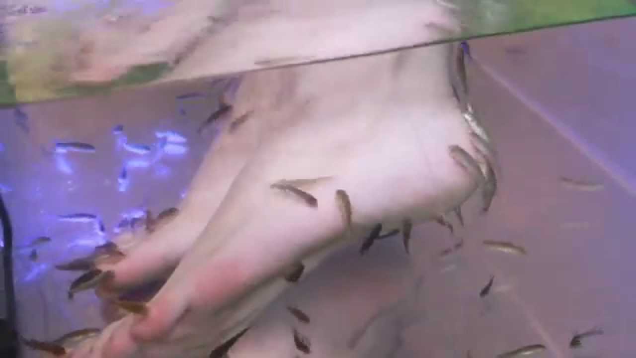 サンピアザ水族館でドクターフィッシュ足湯体験！@北海道札幌市 Sunpiazza Aquarium DoctorFish spa, Sapporo Hokkaido