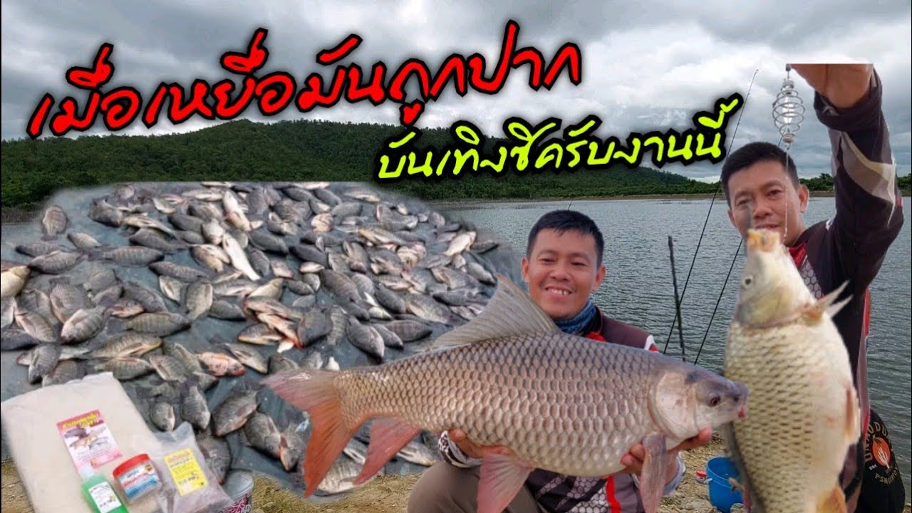 เมื่อเหยื่อมันถูกปาก บันเทิงซิครับงานนี้ ตกปลาหน้าดินอ่างแม่ปุย กับรำบ่มนิลจ๋านวลจ๋า (คลิปที่ 314 )