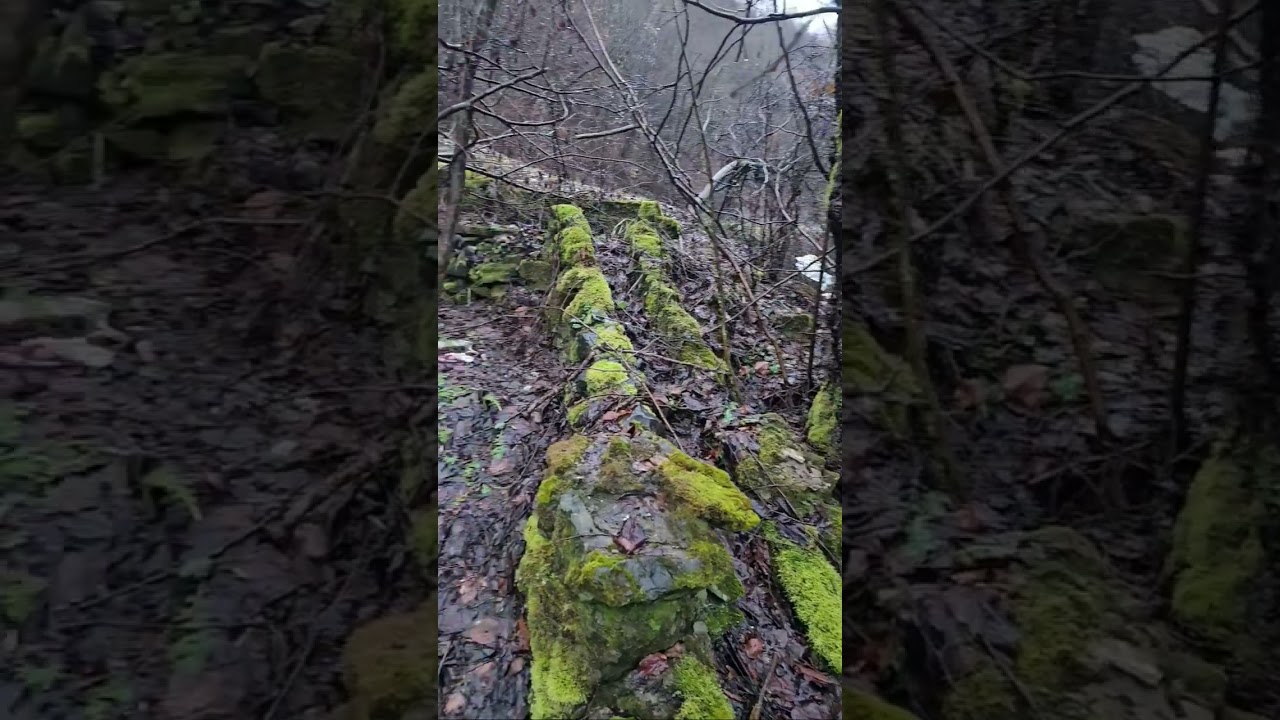 Valea Zlaștiului, casă uitată ori moară