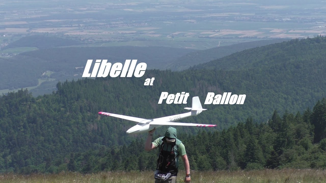 Homebuild Rc Libelle at Petit Ballon