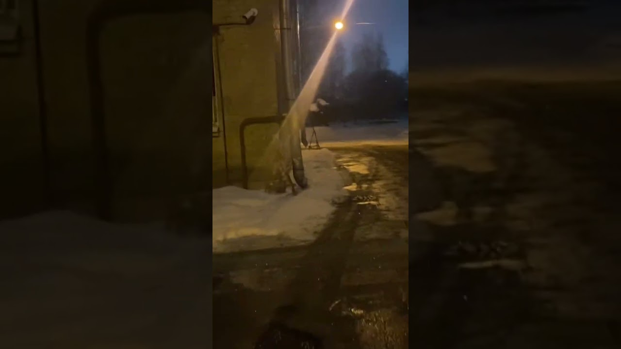 Иду с гостей. Вахта. Питер