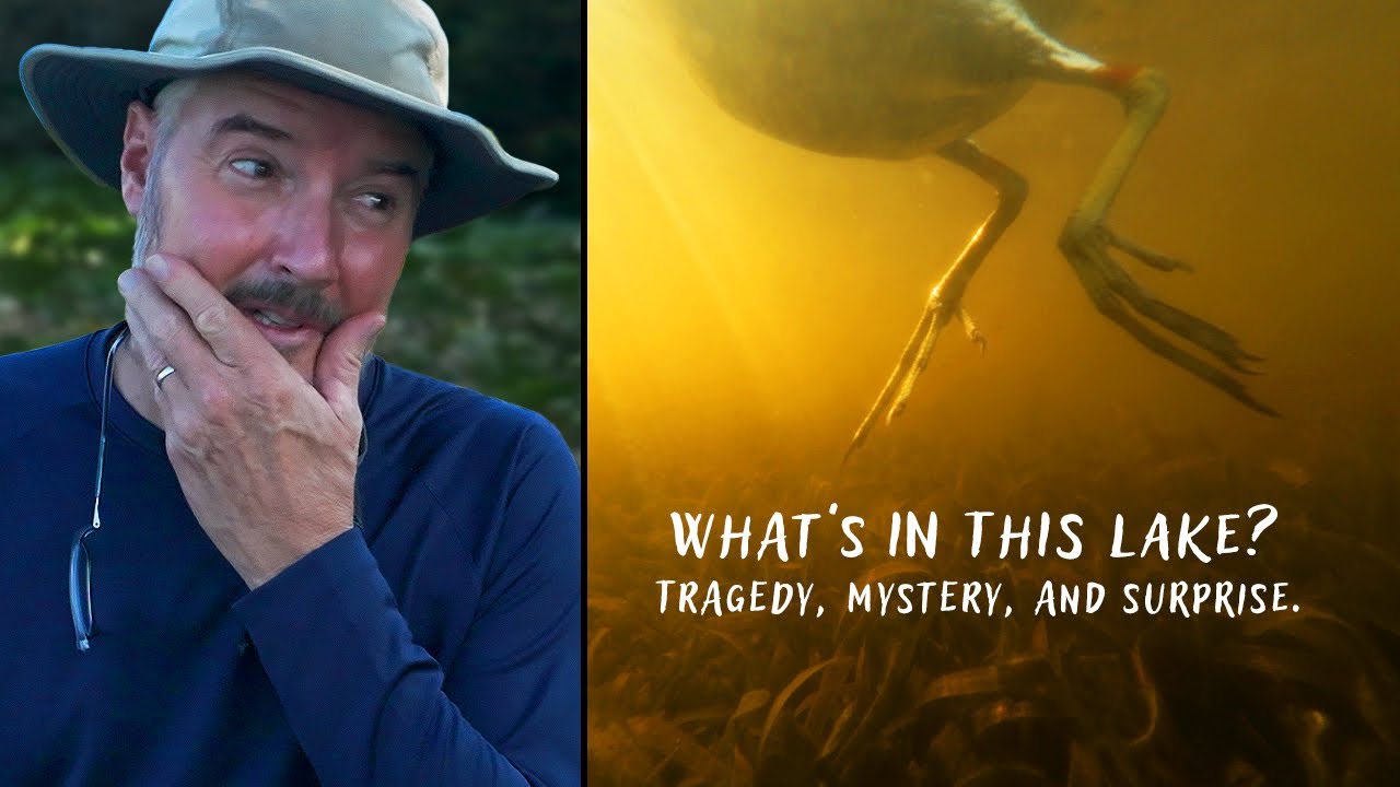 What's In This Lake? Tragedy, Mystery, and Surprise.