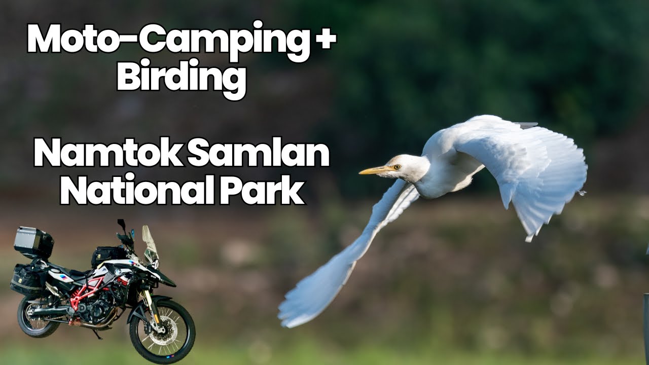 Solo Moto-Camping & Birding in Namtok Samlan National Park