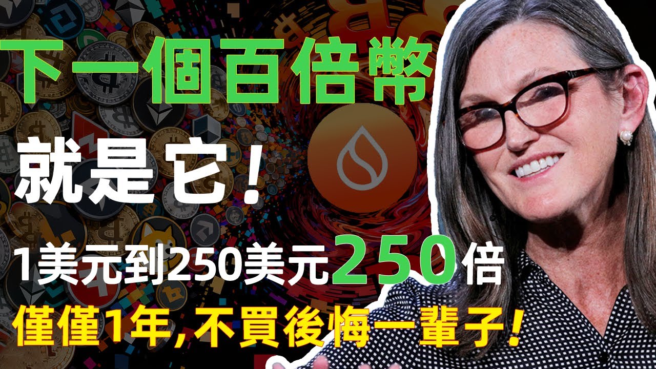 下一個百倍幣就是它...未來再翻数百倍，錯過将後悔一輩子！ |百倍幣，比特币，比特幣，以太坊，以太幣，狗狗幣，SUI，Meta，OG，a16z，幣安，Circle，Coinbase，OG，QI，AMR