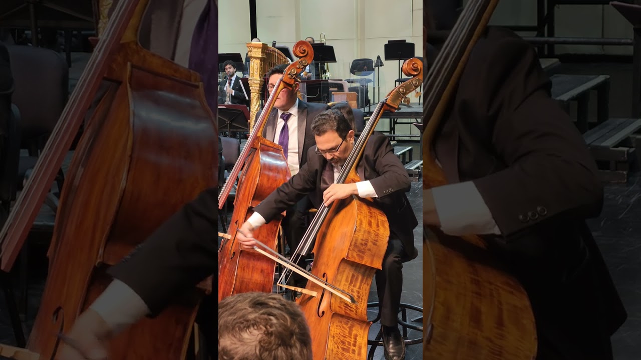 Ginastera - Variaciones Concertantes - Contrabajo Solo