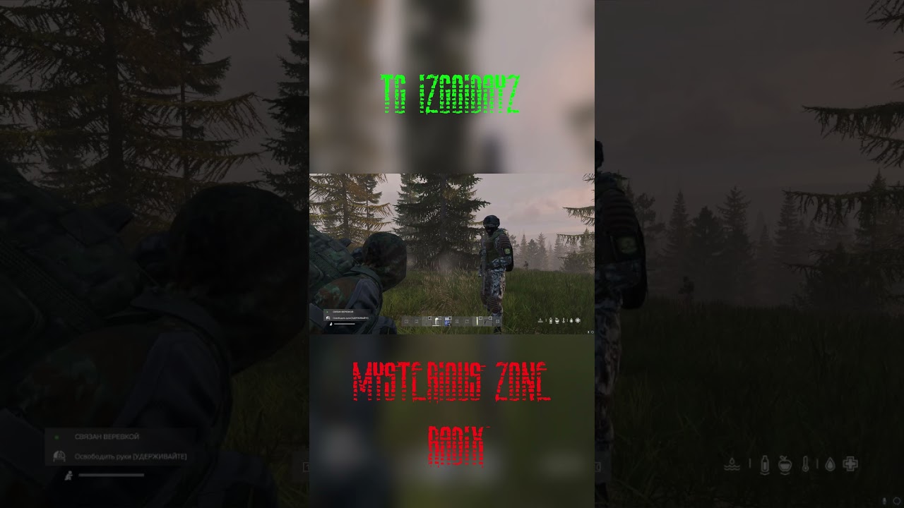 ОХ УЖ ЭТОТ МОНОЛИТ #монолит #mysteriouszonedayz  #dayzrp #stalker2 #rp #dayz #stalkerrp #shorts
