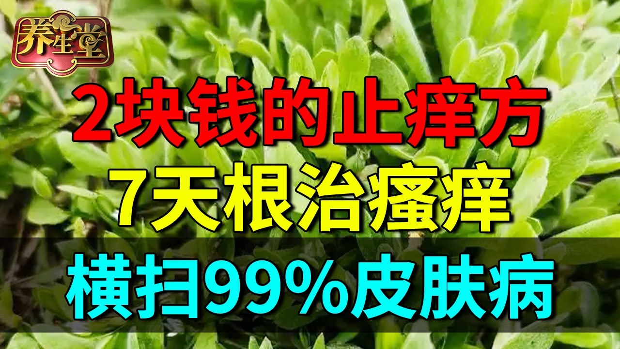 皮肤瘙痒别挠了！中医最爱的止痒方，这个草熬成水，7天根治湿疹瘙痒，彻底告别皮肤病【养生堂】