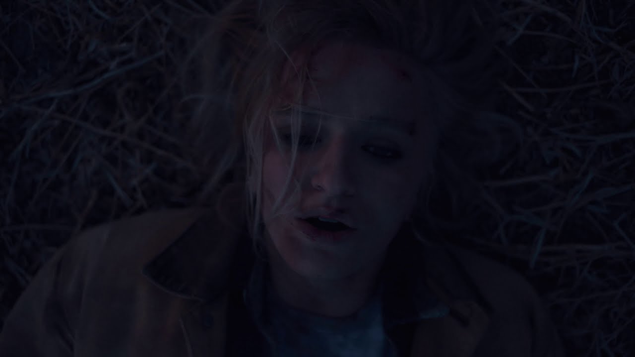 Zetetics - Lotus [Official Music Video]