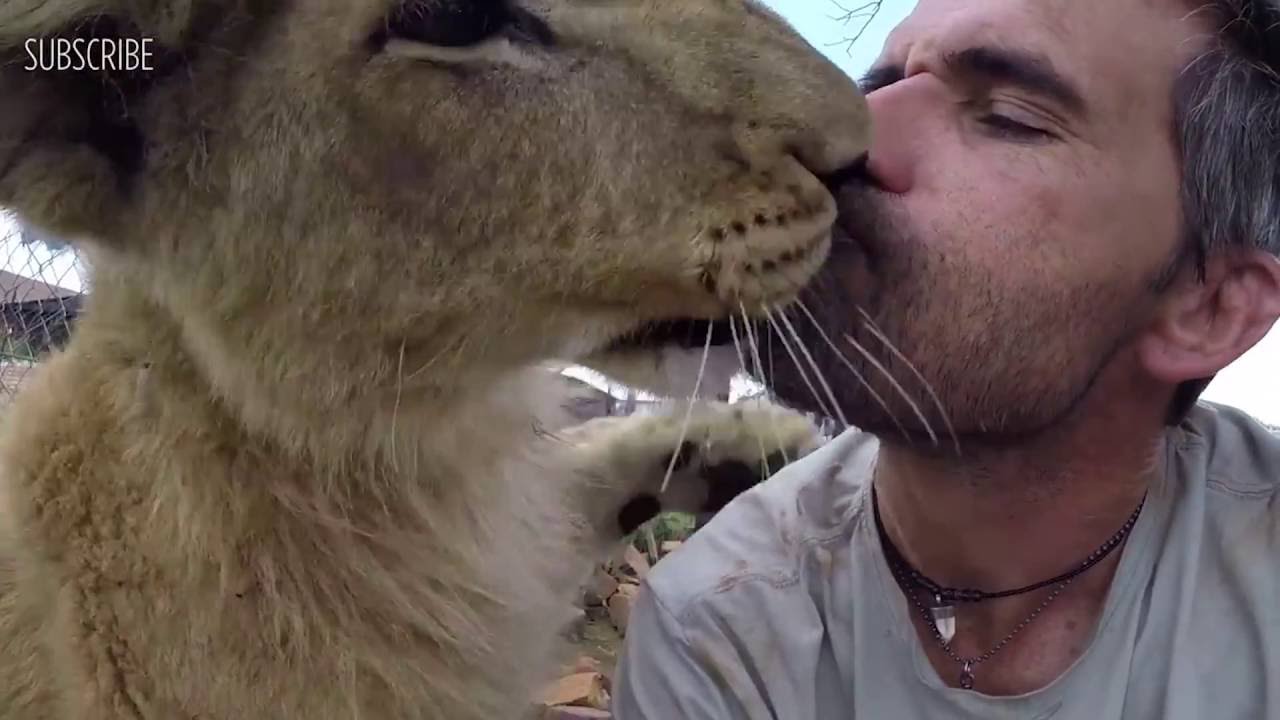 The Human-Animal Bond
