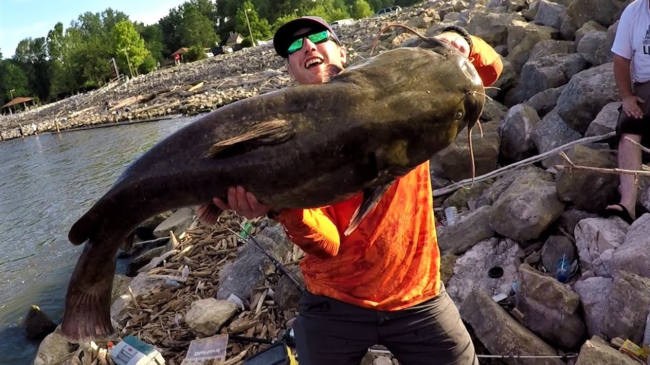 Epic Iowa Catfishing! (70+ pound flathead!)