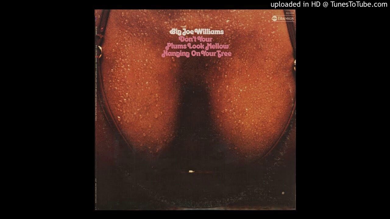 Big Joe Williams - 09 She Won't Do Right