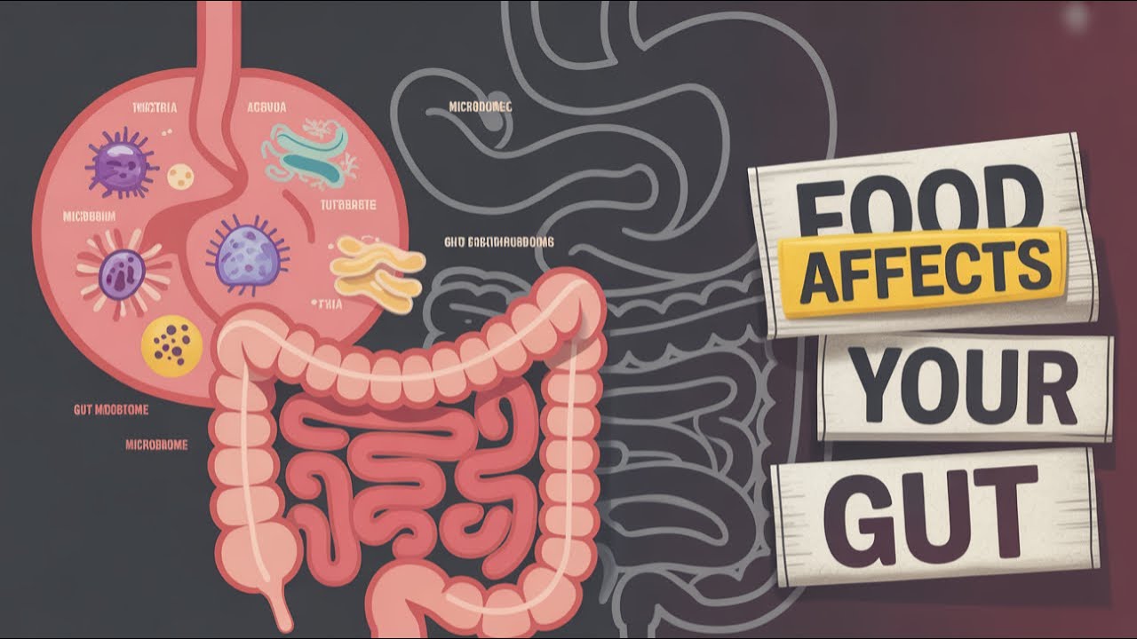 The Gut Food Connection You Need to Know About NOW