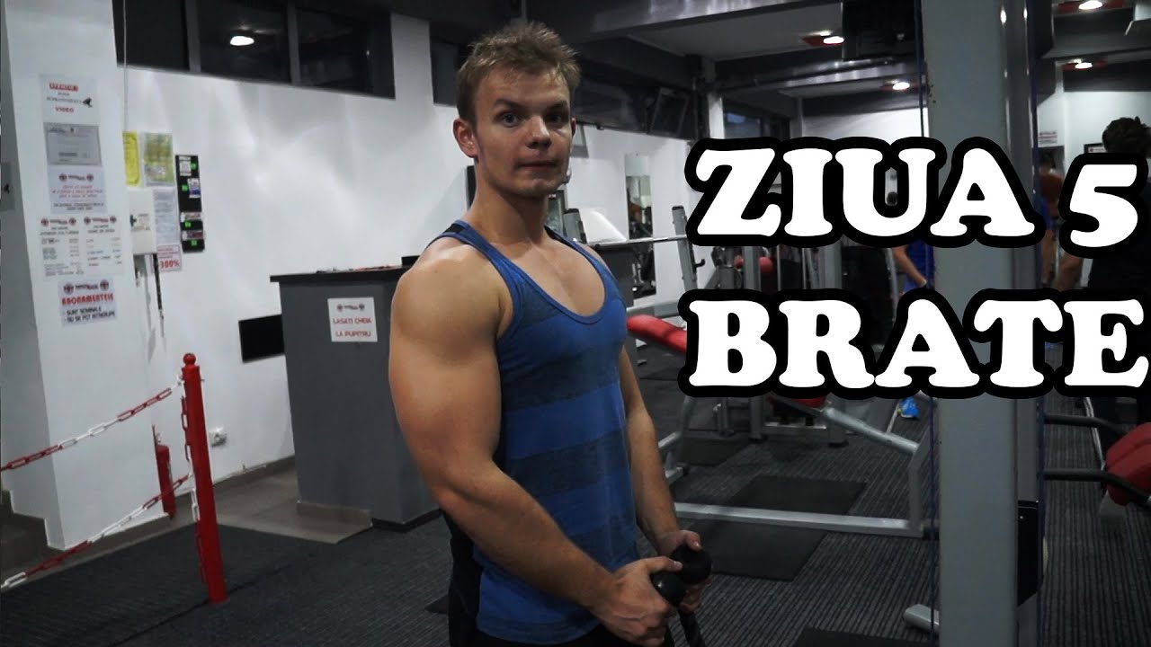 Brate | Ziua 5 | Program incepatori
