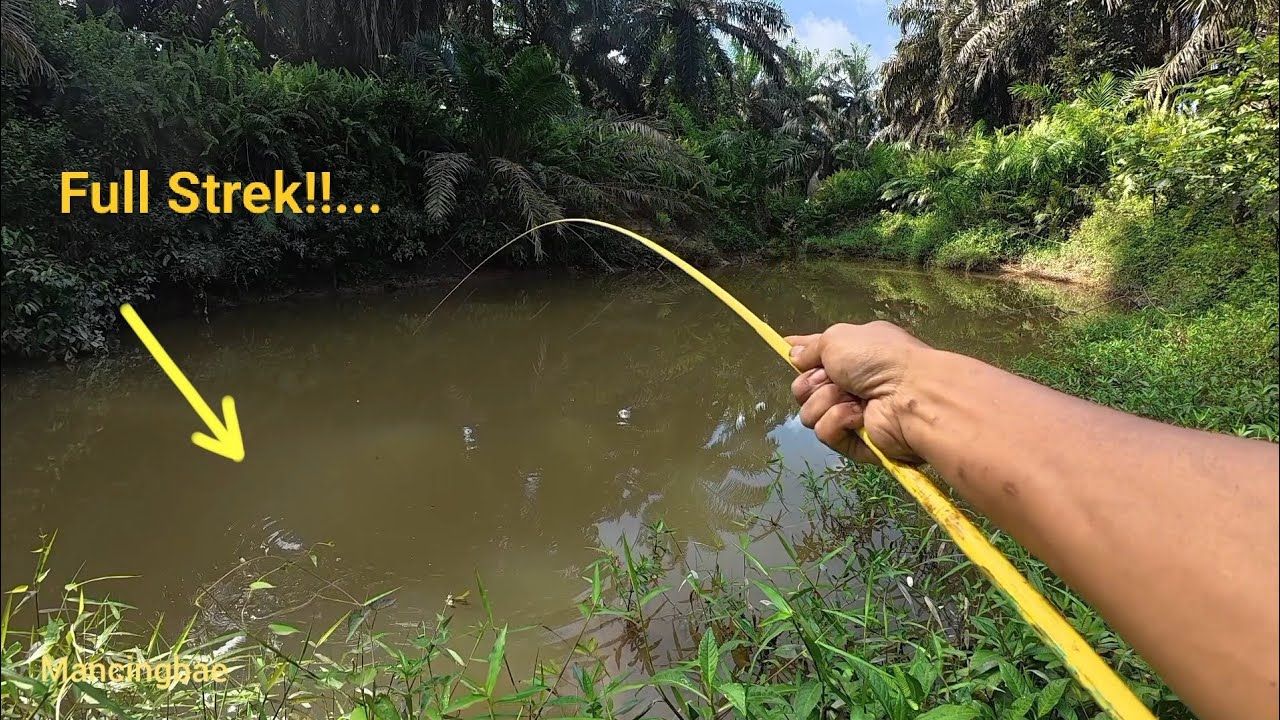 Menelusuri Sungai Kalimantan Mencari Spot Mancing Terbaik