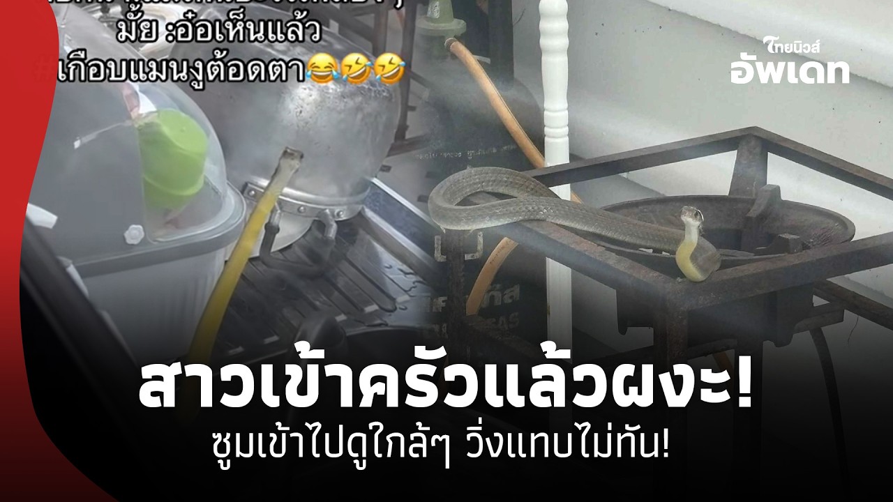 สาวเข้าครัวแล้วผงะ เห็นสิ่งผิดปกติบางอย่าง พอซูมดูใกล้ๆ วิ่งแทบไม่ทัน! 41- SS