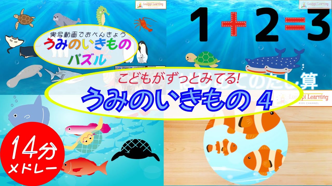 【うみのいきもの クイズメドレー】海の生き物なーんだ？赤ちゃん泣き止む 子供が喜ぶ 知育動画 フラッシュカード 実写動画 数かぞえ Seaanimals quiz Animation