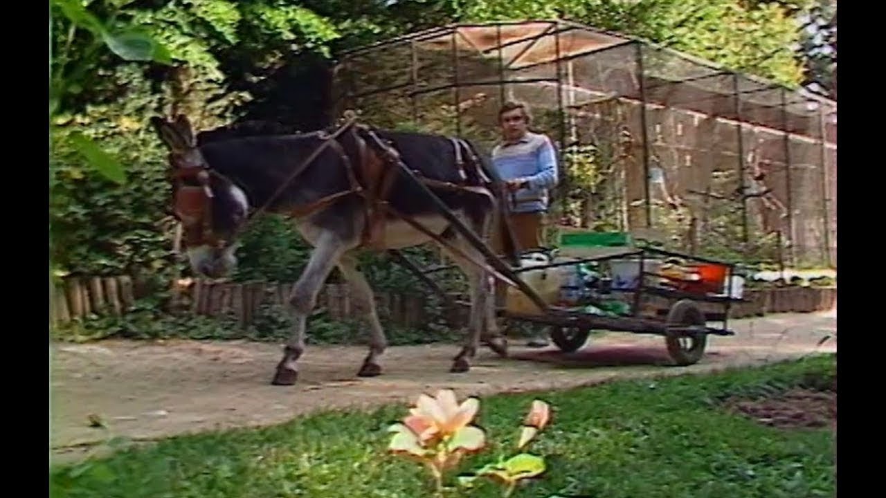 40 ans d'histoires - Ep 3 : l'ouverture du ZooParc !