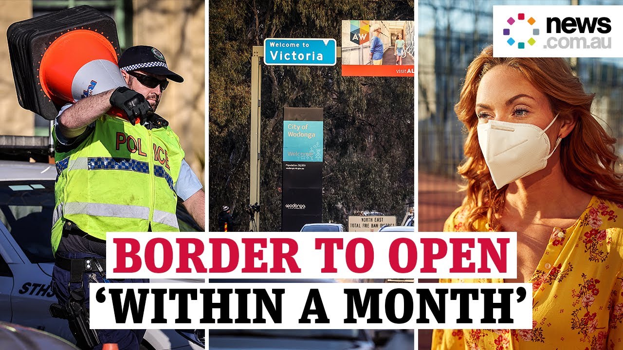 The NSW-VIC border could be open by November