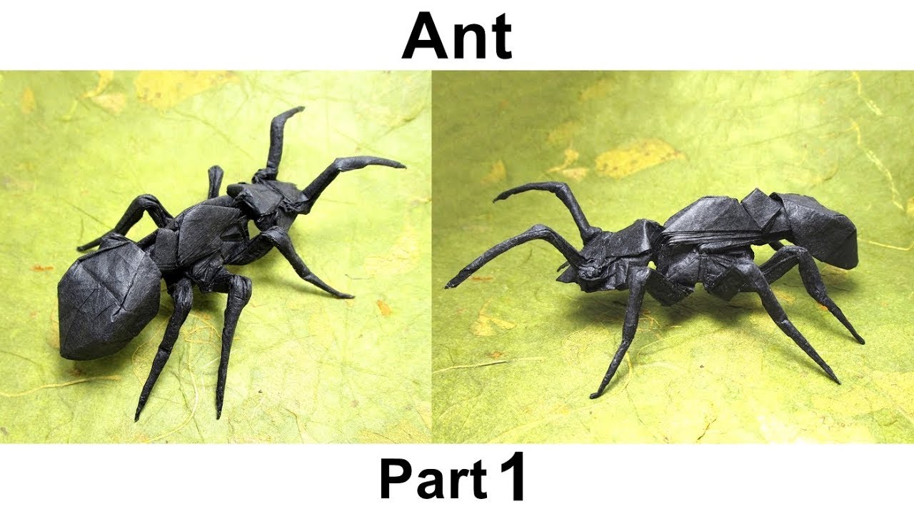 Origami Ant 2.0 tutorial (Satoshi Kamiya) part 1 折り紙 アリ оригами  Ameise  Hormiga
