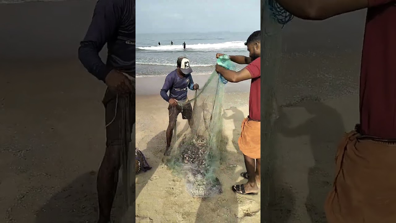 #fishing