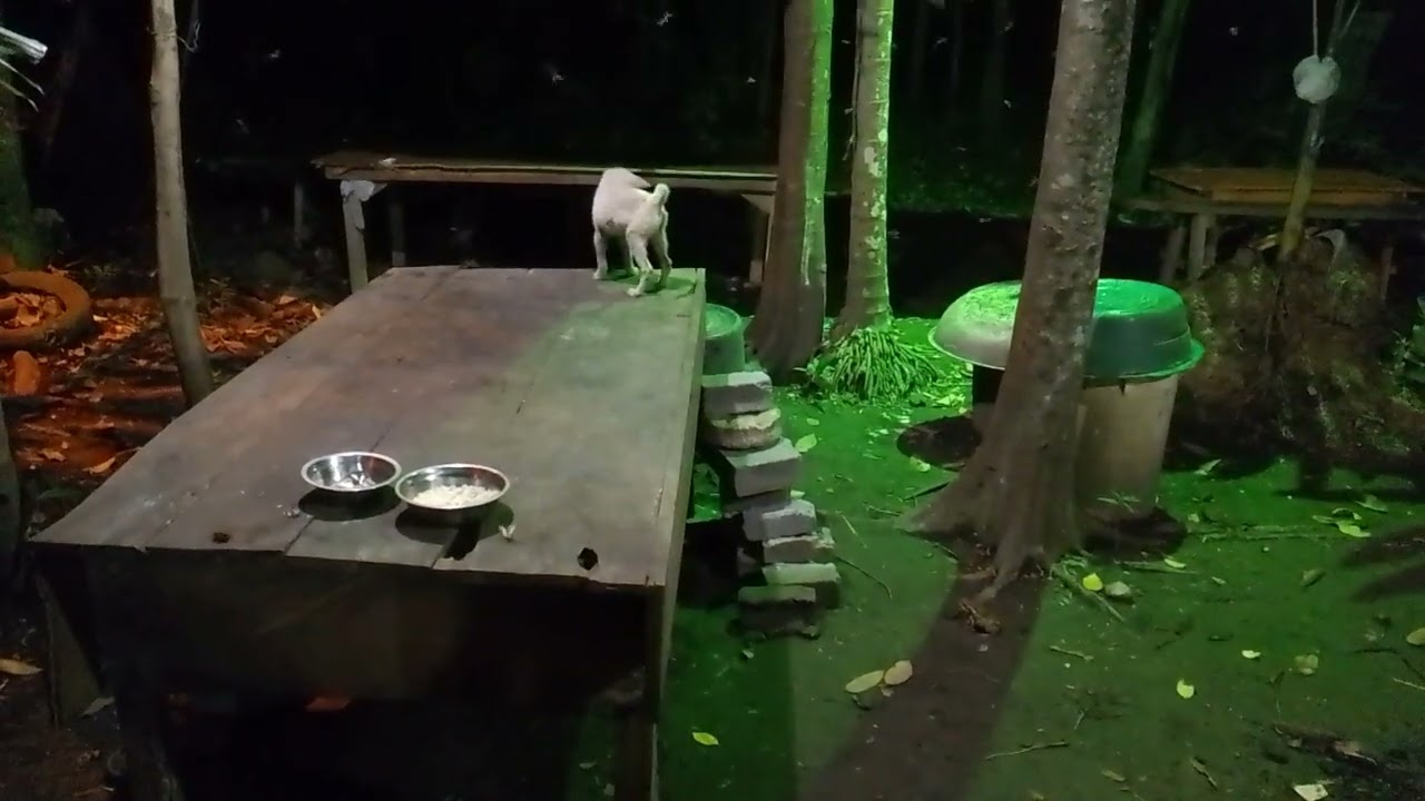 KULISAP