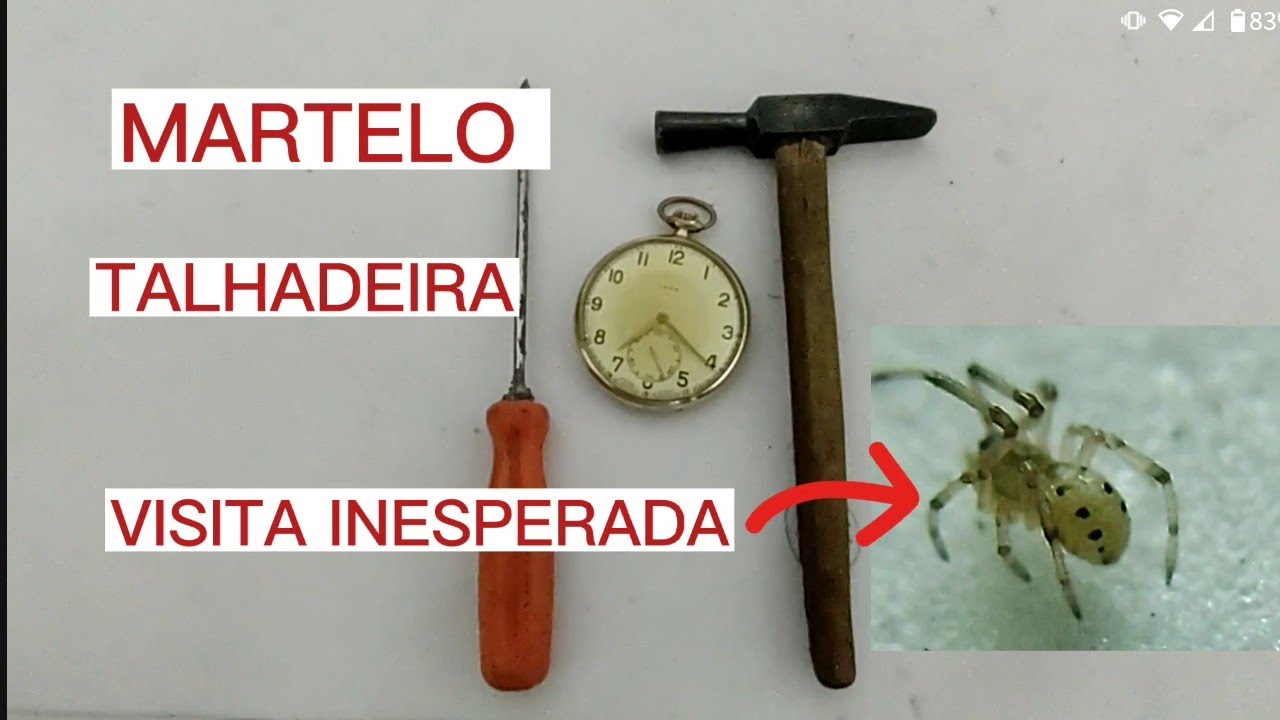 USEI UMA TALHADEIRA PRA ABRIR O RELÓGIO - CATRACA COM DEFEITO - ATÉ UMA ARANHA PARTICIPOU DO VIDEO