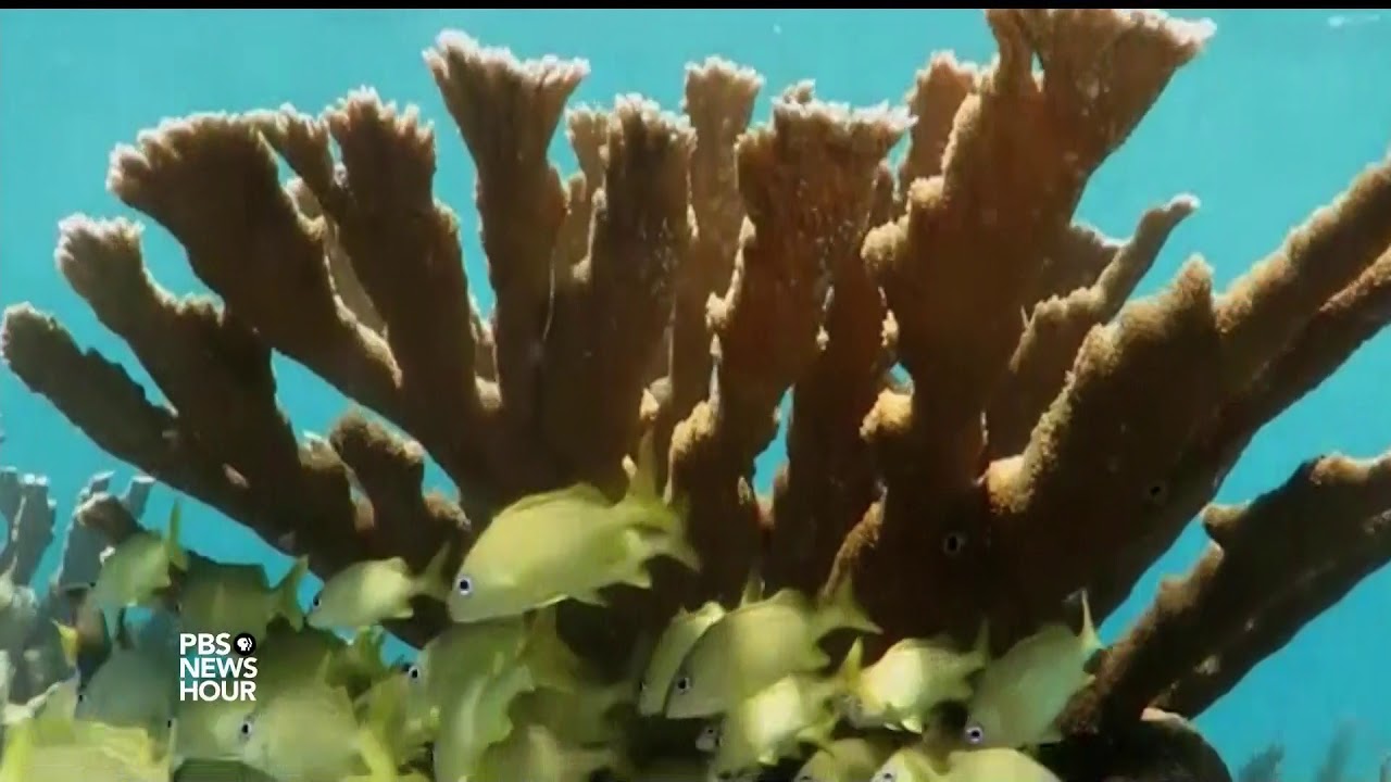 Can Cuba preserve ecosystems while profiting from tourism?