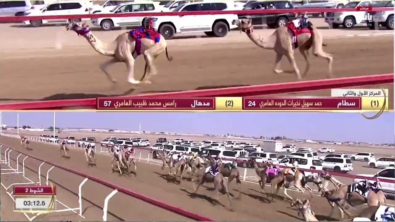 ش2 مدهال لـ رامس محمد ظبيب العامري (مهرجان البيت متوحد 3-10-2024) مجسم قعدان مقيض الدار 4:20:7