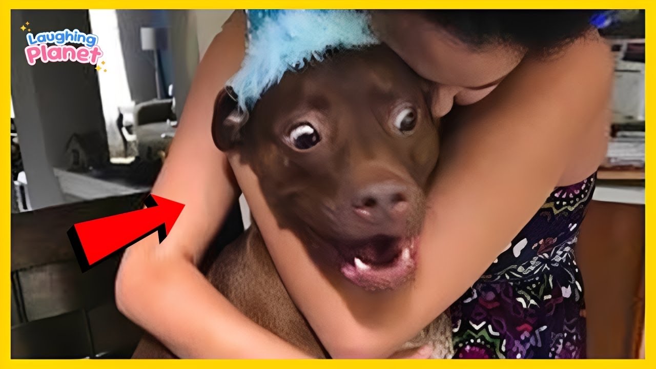 Собаки — настоящие короли комедии 😂 Самые смешные видео с животными 2025 года