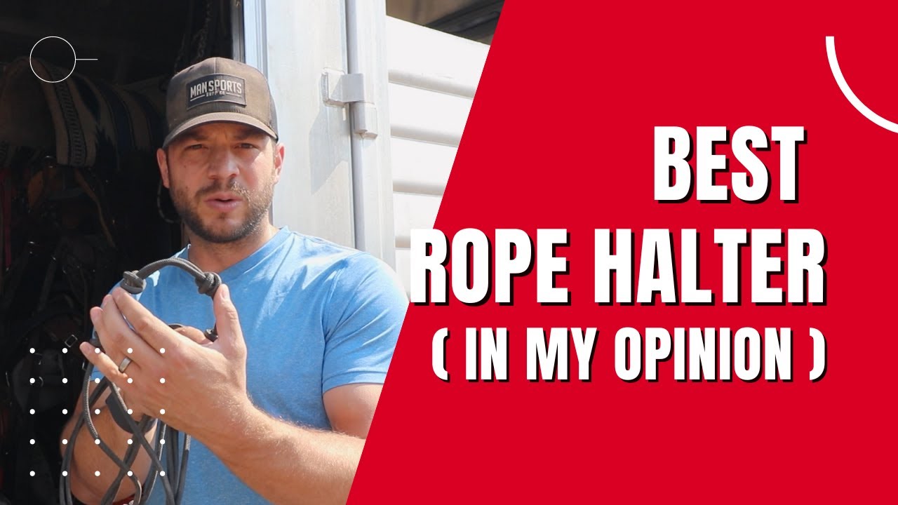 Best Rope Halter - One Man's Opinion