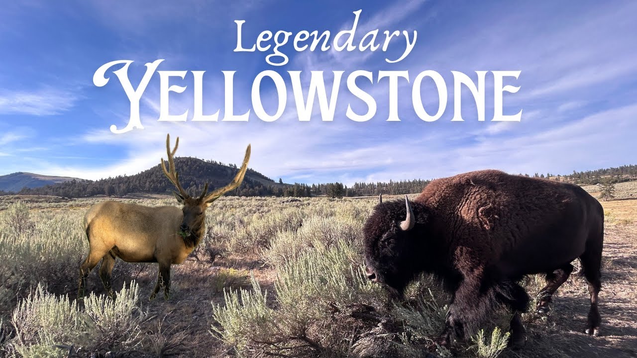 10 Day Road Trip to the Iconic Yellowstone National Park