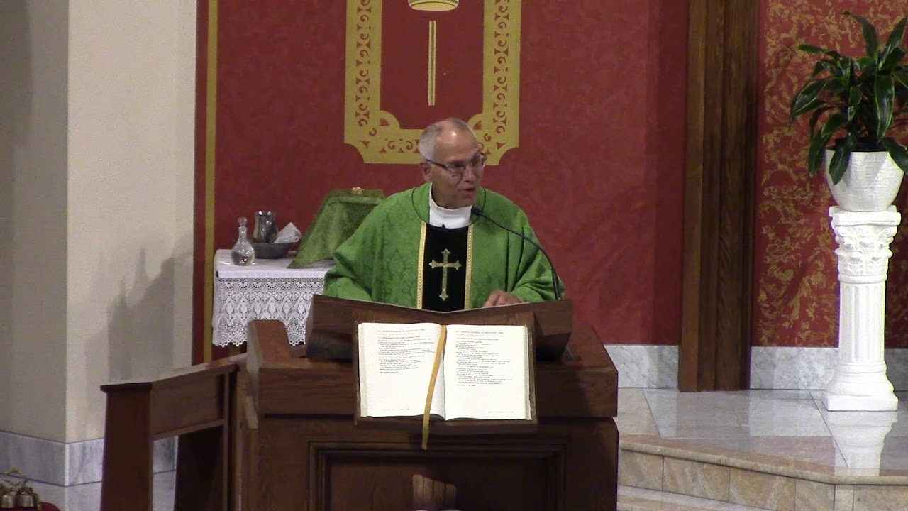 Eighth Sunday in Ordinary Time (Year C) - Fr. Hahn
