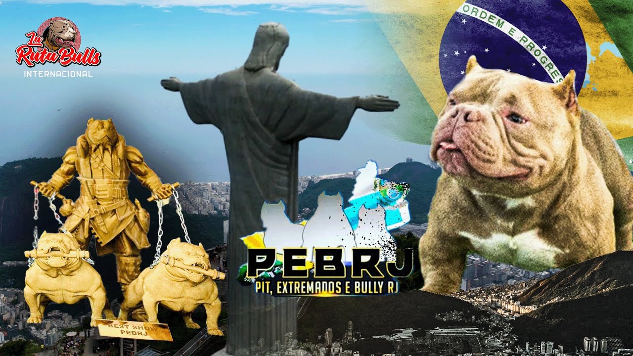 La Ruta Bulls Llega a Río de Janeiro! Competencia Épica de AmBy Exótic, Micros,Nanos y Pitmonster 🏆🔥
