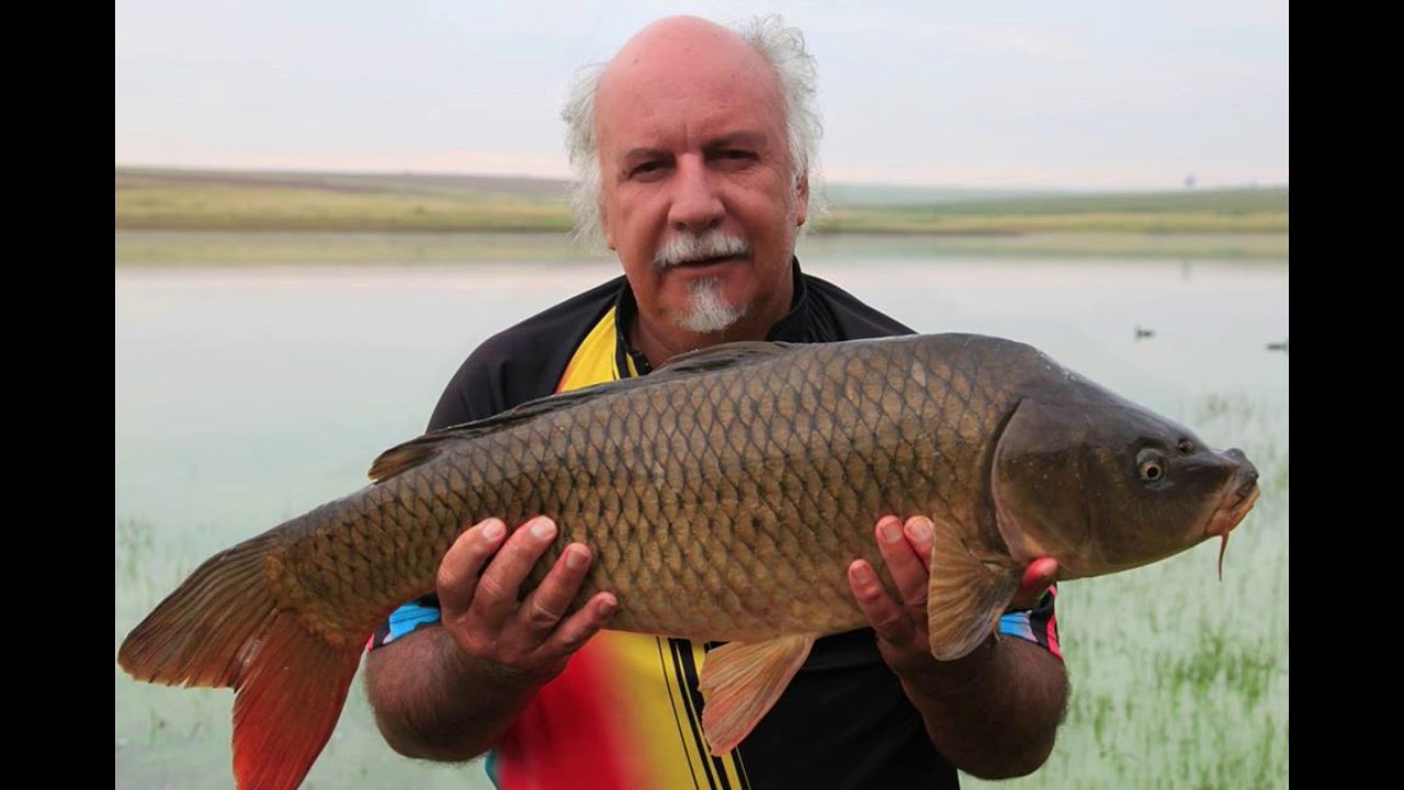Borneo dam - Reitz - Free State