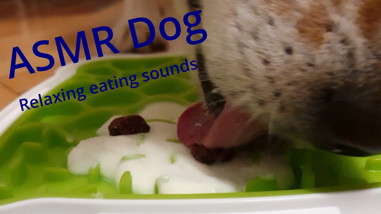ASMR Dog eating frozen quark with cranberries on a lickimat I relaxing eating+licking, no talking