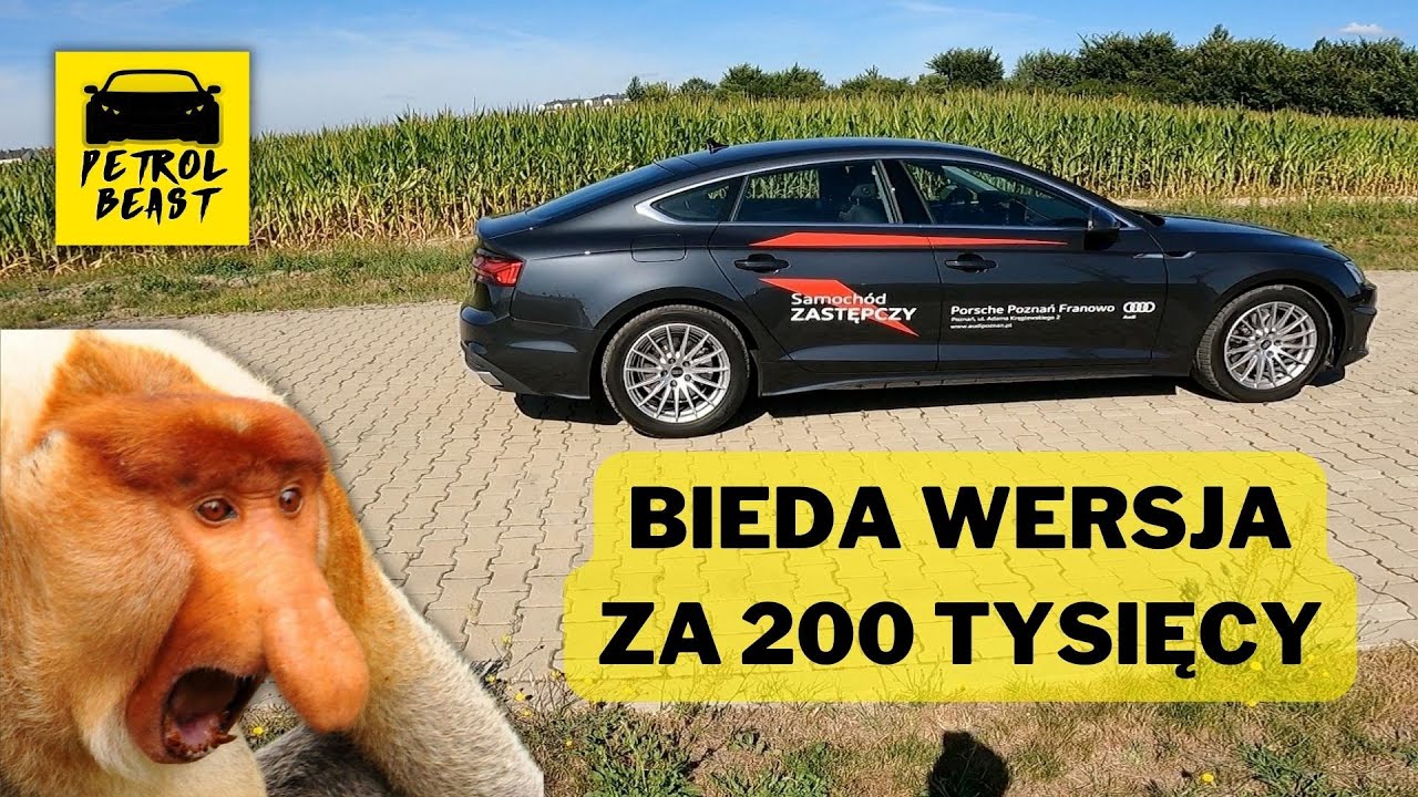 САМЫЙ ДЕШЁВЫЙ Audi A5 35 TFSI Facelift 2.0 150 л.с. &mdash; Сырой материал, т.е. сырой ТЕСТ