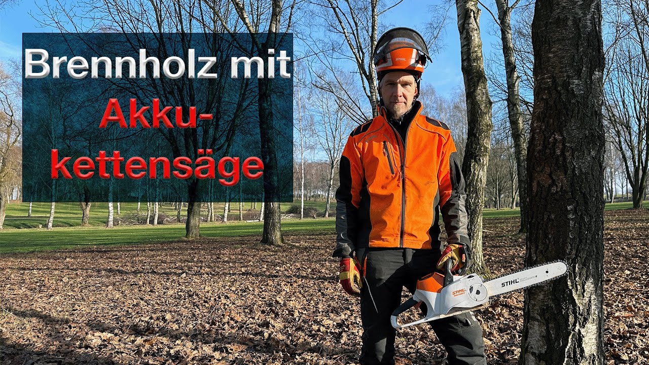 Top oder Flop - Baum fällen + aufarbeiten STIHL MSA 220 Akkukettensäge - Brennholz machen leise