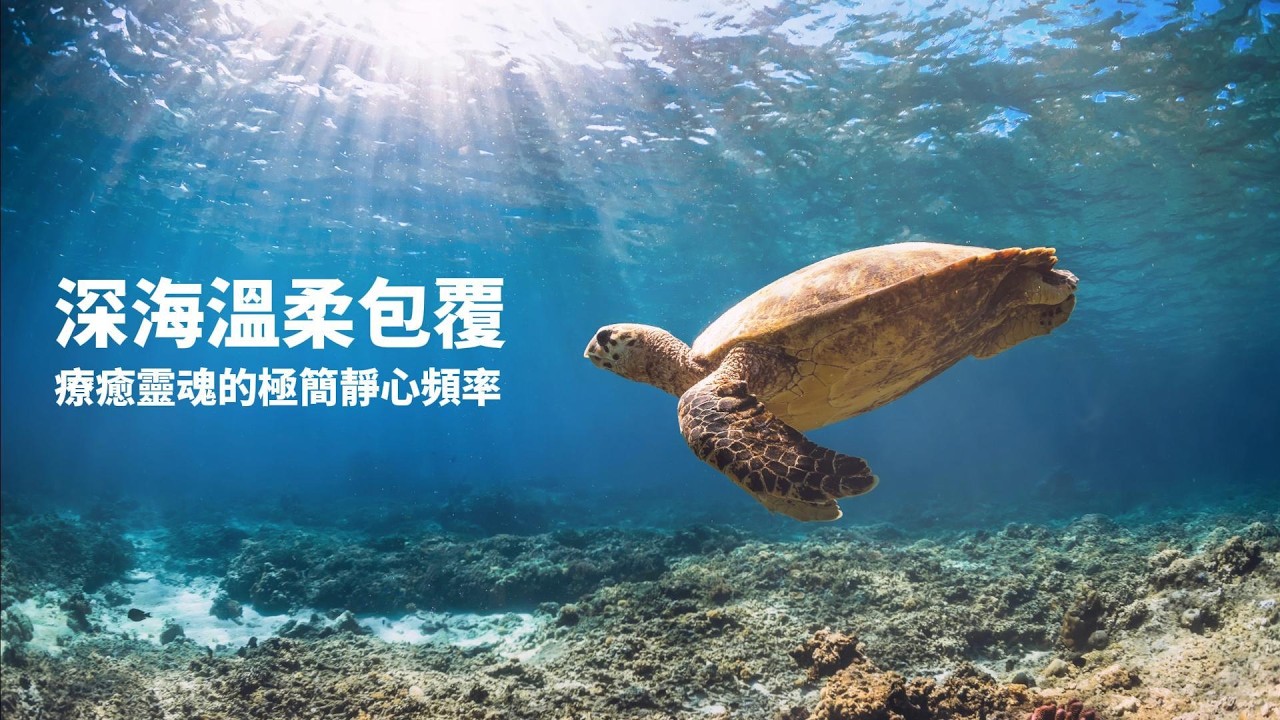 深海海龜之旅 🐢療癒靈魂的極簡靜心頻率 | 冥想、瑜珈、放鬆的陪伴 BGM | Grounding Sea Turtle Meditation