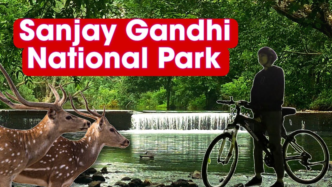 Sanjay Gandhi National Park in Monsoon | Travelonk | Travel Tips