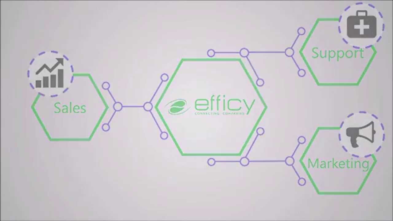 What is Efficy CRM?