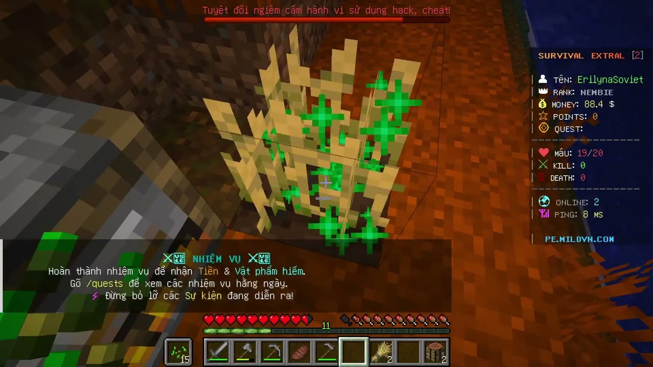 hãy tận hưởng và chơi một cái server minecraft nào đó