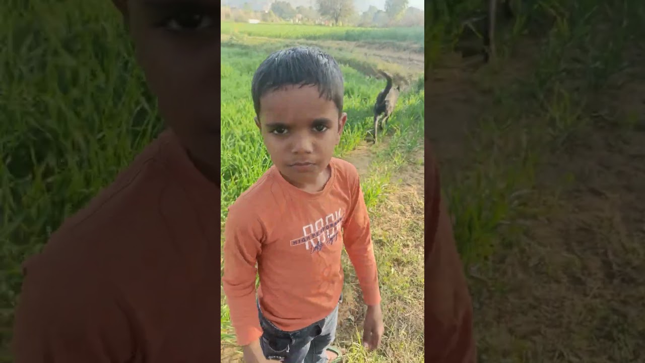 Hamare hare bhare kheto k a najara