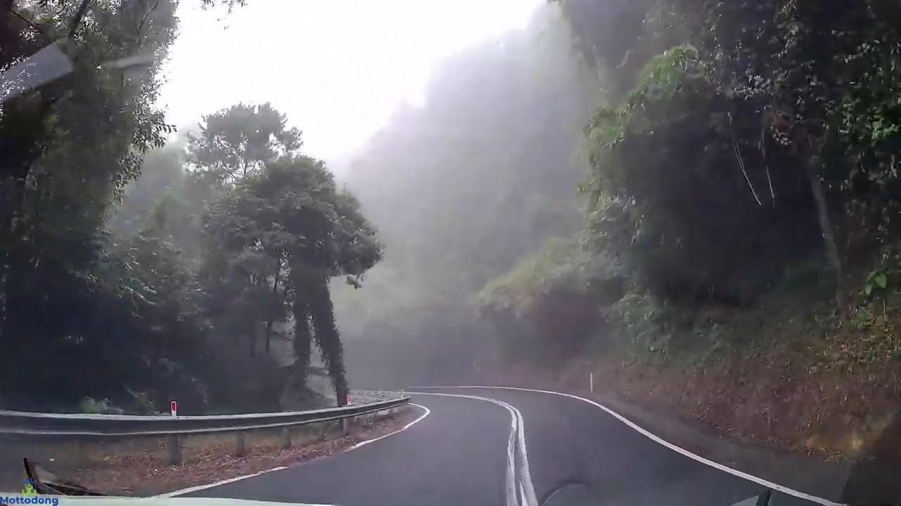 Coffs Harbour Dorrigo National Park to The Honey Place Urunga | NSW Driving | NSW Australia