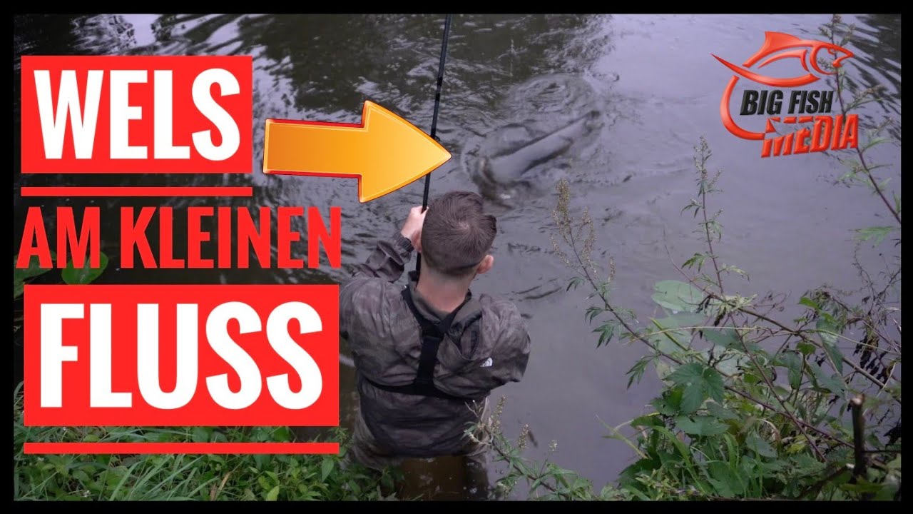 Auf WELS am kleinen FLUSS: Es rappelt gleich DOPPELT
